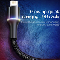 Baseus USB Cable For iPhone- Lighting Fast Charge