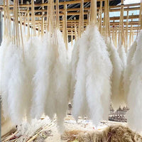 Wholesale 12Pcs Fluffy Large Pampas Grass Home Decor Natural Dried Flower Decorative Wedding Centerpiece Boho Pampas Grass Decor