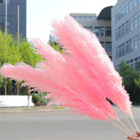 Wholesale 12Pcs Fluffy Large Pampas Grass Home Decor Natural Dried Flower Decorative Wedding Centerpiece Boho Pampas Grass Decor