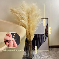 Wholesale 12Pcs Fluffy Large Pampas Grass Home Decor Natural Dried Flower Decorative Wedding Centerpiece Boho Pampas Grass Decor