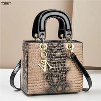 Women bag Female Shoulder bag Handbag for 2025 Fashion shoulder bags crossbody luxury designer handbag bags for women