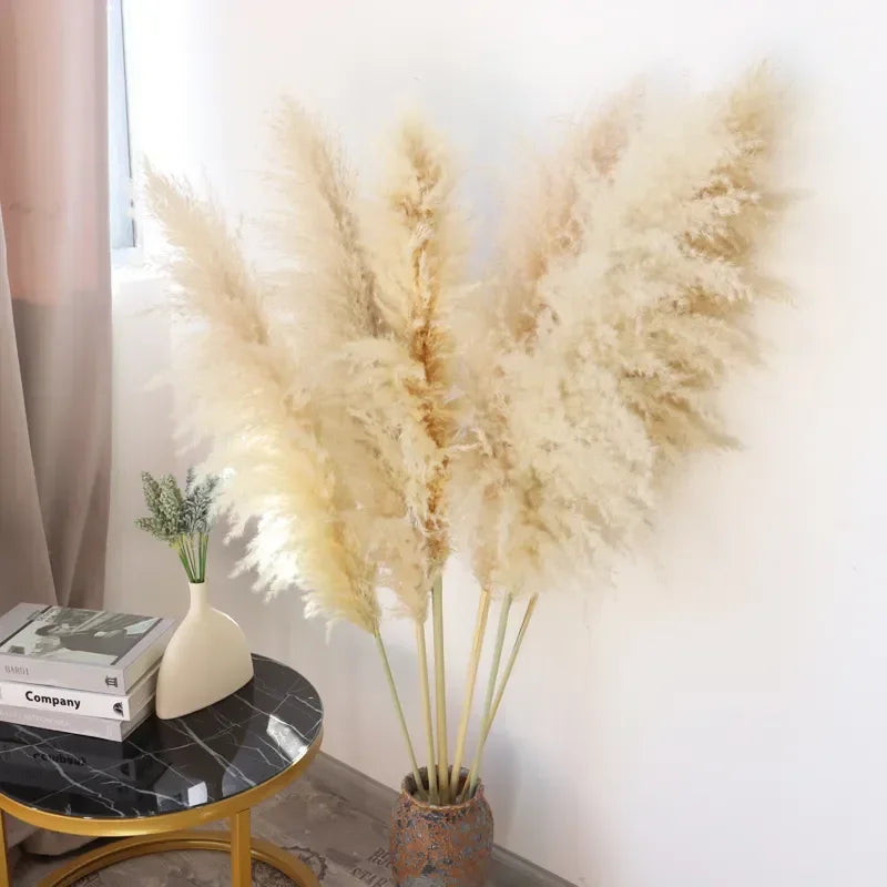 Wholesale 12Pcs Fluffy Large Pampas Grass Home Decor Natural Dried Flower Decorative Wedding Centerpiece Boho Pampas Grass Decor