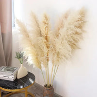 Wholesale 12Pcs Fluffy Large Pampas Grass Home Decor Natural Dried Flower Decorative Wedding Centerpiece Boho Pampas Grass Decor
