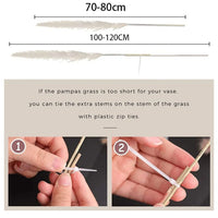Wholesale 12Pcs Fluffy Large Pampas Grass Home Decor Natural Dried Flower Decorative Wedding Centerpiece Boho Pampas Grass Decor