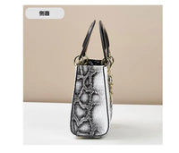 Women bag Female Shoulder bag Handbag for 2025 Fashion shoulder bags crossbody luxury designer handbag bags for women