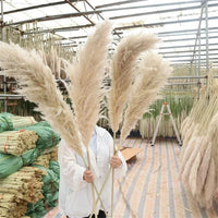 Wholesale 12Pcs Fluffy Large Pampas Grass Home Decor Natural Dried Flower Decorative Wedding Centerpiece Boho Pampas Grass Decor