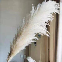 Wholesale 12Pcs Fluffy Large Pampas Grass Home Decor Natural Dried Flower Decorative Wedding Centerpiece Boho Pampas Grass Decor