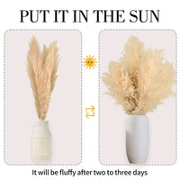 Wholesale 12Pcs Fluffy Large Pampas Grass Home Decor Natural Dried Flower Decorative Wedding Centerpiece Boho Pampas Grass Decor