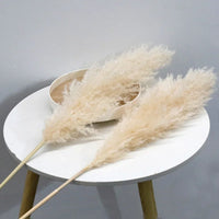 Wholesale 12Pcs Fluffy Large Pampas Grass Home Decor Natural Dried Flower Decorative Wedding Centerpiece Boho Pampas Grass Decor