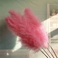 Wholesale 12Pcs Fluffy Large Pampas Grass Home Decor Natural Dried Flower Decorative Wedding Centerpiece Boho Pampas Grass Decor