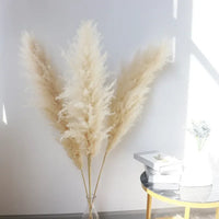 Wholesale 12Pcs Fluffy Large Pampas Grass Home Decor Natural Dried Flower Decorative Wedding Centerpiece Boho Pampas Grass Decor