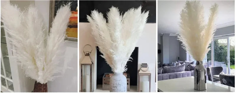 Wholesale 12Pcs Fluffy Large Pampas Grass Home Decor Natural Dried Flower Decorative Wedding Centerpiece Boho Pampas Grass Decor