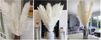 Wholesale 12Pcs Fluffy Large Pampas Grass Home Decor Natural Dried Flower Decorative Wedding Centerpiece Boho Pampas Grass Decor