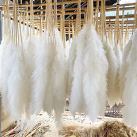 Wholesale 12Pcs Fluffy Large Pampas Grass Home Decor Natural Dried Flower Decorative Wedding Centerpiece Boho Pampas Grass Decor