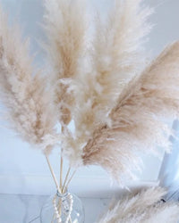 Wholesale 12Pcs Fluffy Large Pampas Grass Home Decor Natural Dried Flower Decorative Wedding Centerpiece Boho Pampas Grass Decor