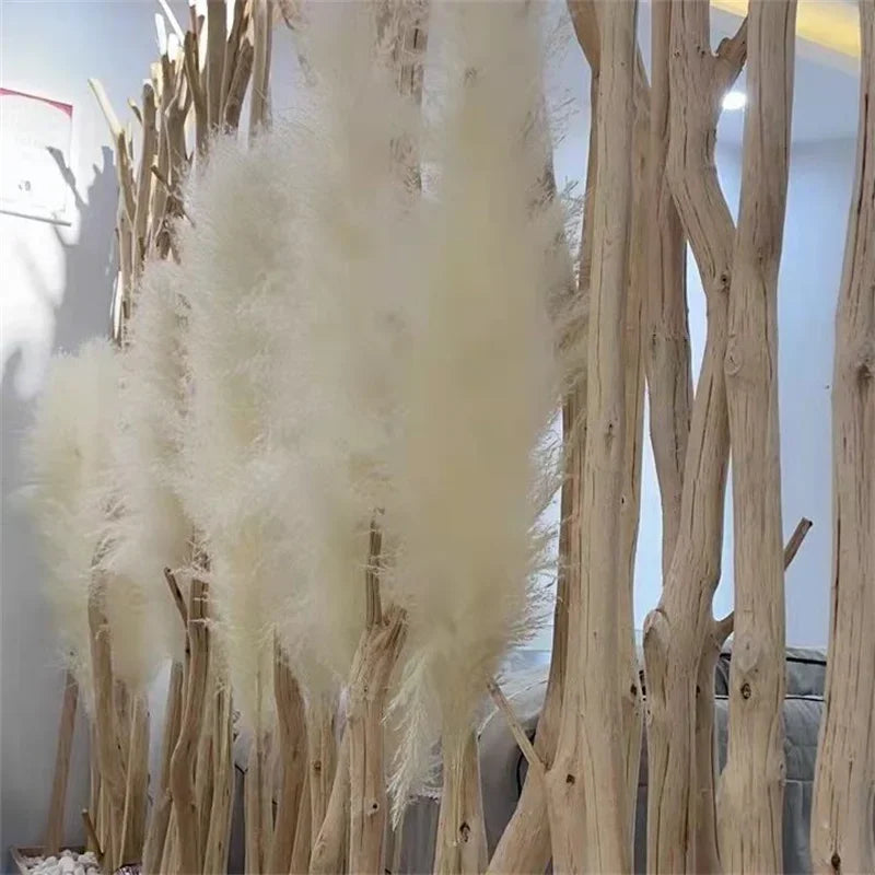 Wholesale 12Pcs Fluffy Large Pampas Grass Home Decor Natural Dried Flower Decorative Wedding Centerpiece Boho Pampas Grass Decor