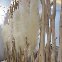 Wholesale 12Pcs Fluffy Large Pampas Grass Home Decor Natural Dried Flower Decorative Wedding Centerpiece Boho Pampas Grass Decor