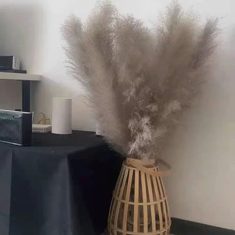 Wholesale 12Pcs Fluffy Large Pampas Grass Home Decor Natural Dried Flower Decorative Wedding Centerpiece Boho Pampas Grass Decor