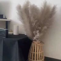 Wholesale 12Pcs Fluffy Large Pampas Grass Home Decor Natural Dried Flower Decorative Wedding Centerpiece Boho Pampas Grass Decor