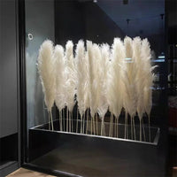 Wholesale 12Pcs Fluffy Large Pampas Grass Home Decor Natural Dried Flower Decorative Wedding Centerpiece Boho Pampas Grass Decor