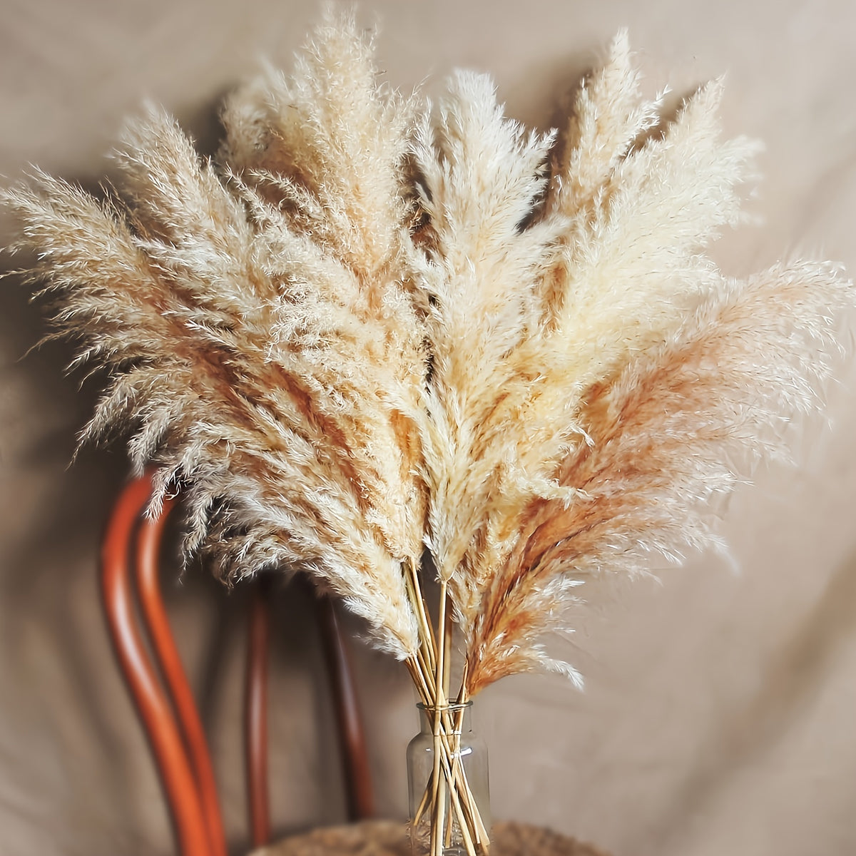 Pampas Grass Decor, Bohemian Style, Fluffy Feather Accents, Dry Flower - 5pcs 101.6cm Tall