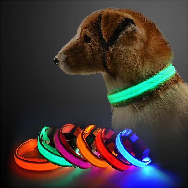 Glowing LED Pet Collar, Battery Powered, Polyester Reflective Dog Walking Necklace