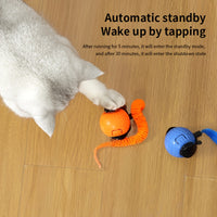 Novel Interactive Electric Cat And Dog Toy Ball