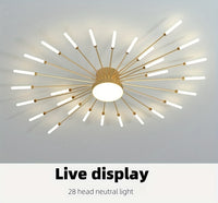 Modern LED Vortex Fireworks Ceiling Light – Sleek Acrylic Design with Illuminated Base, Neutral Lighting for Bedroom, Living Room, or Dining Room, Lights for Living Room