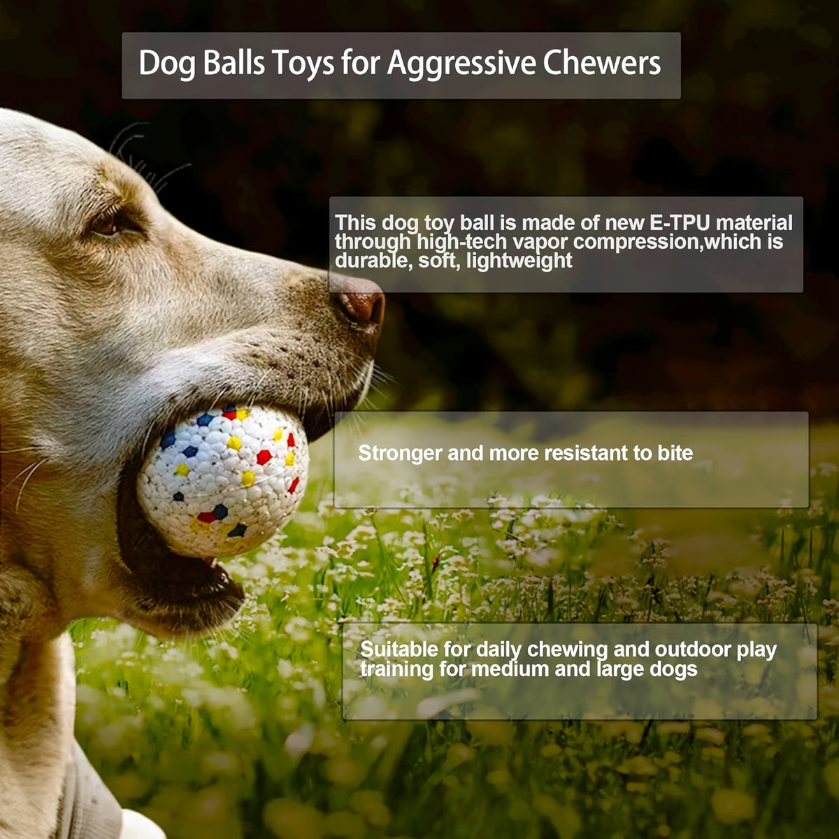 Dog Chew Toy - Interactive Ball For Aggressive Chewers