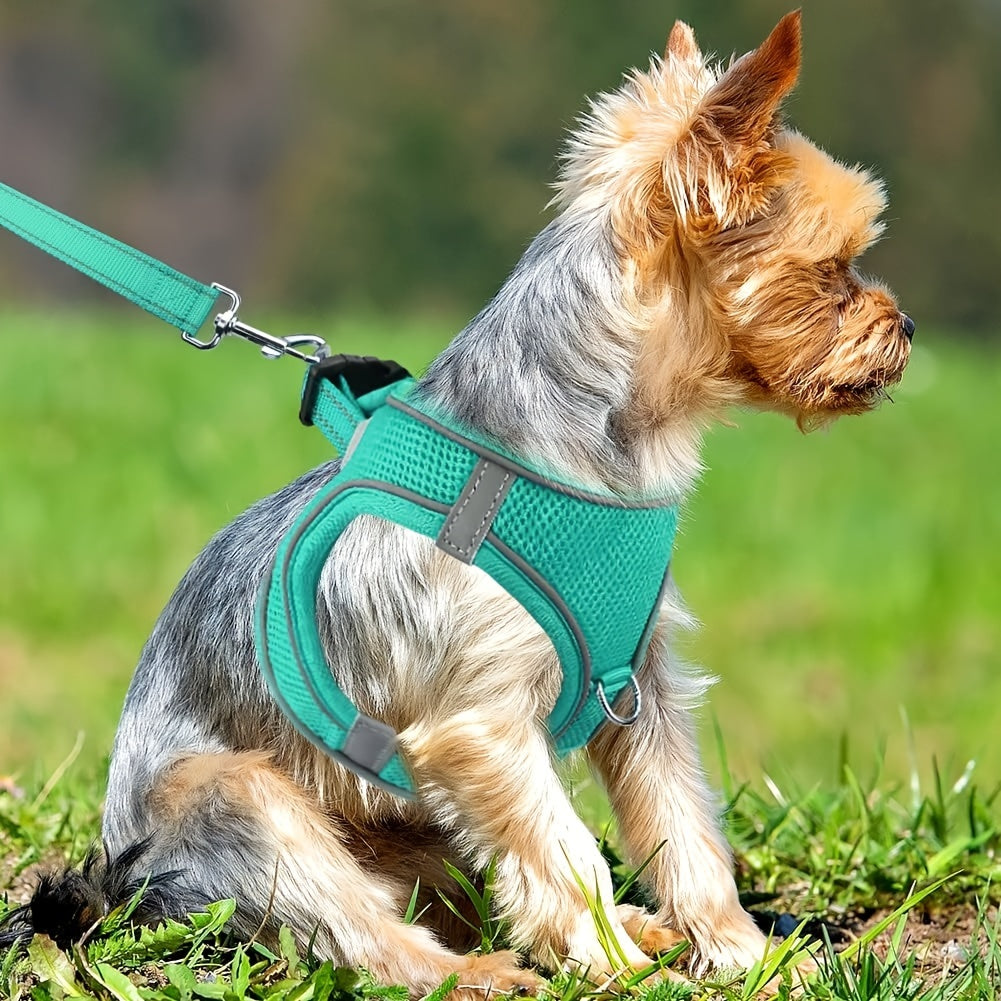 Joytale Reflective Dog Harness and Leash Set