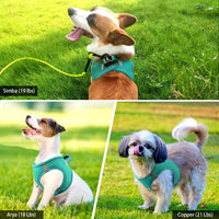 Joytale Reflective Dog Harness and Leash Set