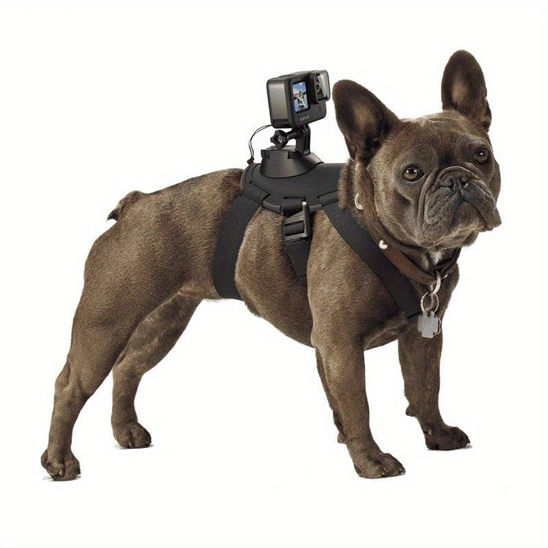Multifunctional Pet Photography Harness - Adjustable for Small, Medium, and Large Dogs