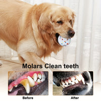 Dog Chew Toy - Interactive Ball For Aggressive Chewers