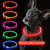 Dog LED Light Collar Whole Luminous At Night Anti-loss USB Rechargeable