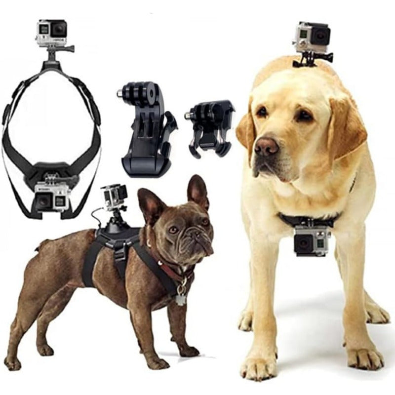 Multifunctional Pet Photography Harness - Adjustable for Small, Medium, and Large Dogs