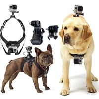 Multifunctional Pet Photography Harness - Adjustable for Small, Medium, and Large Dogs